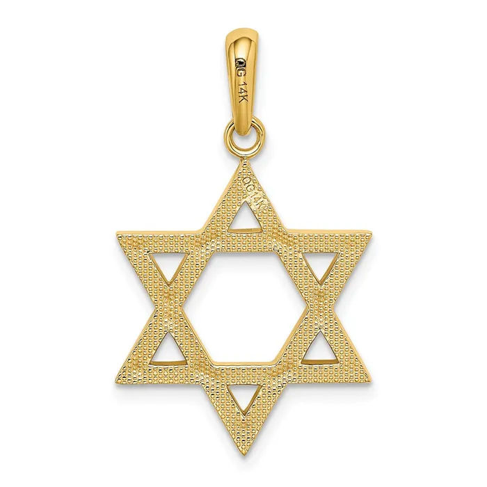Necklaces Goldia 14k Yellow Gold Star of David Pendant