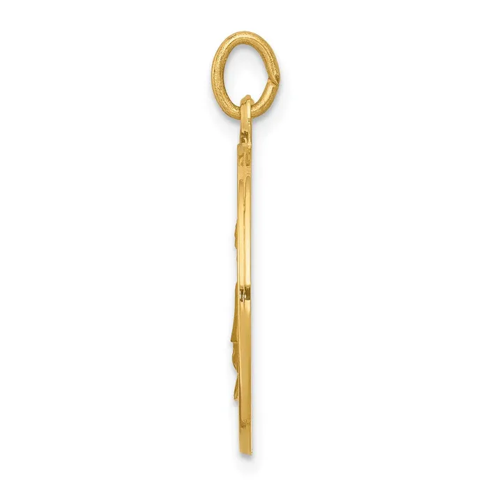 PreStyled Sets 14k Yellow Gold Saint Elizabeth Seton Medal Pendant Goldia