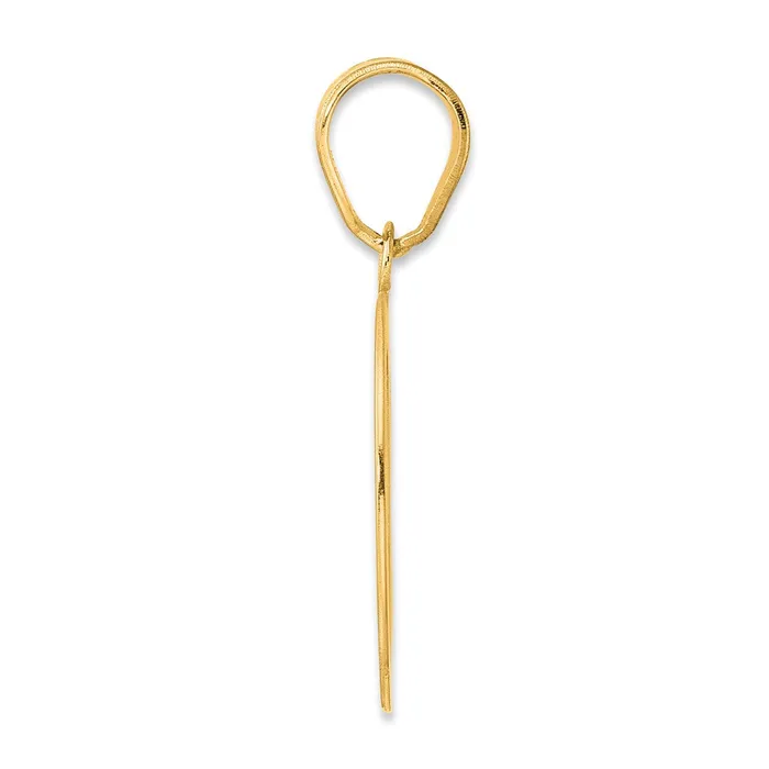 PreStyled Sets Goldia 14k Yellow Gold Polished Number 60 Pendant